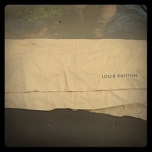 Louis Vuttion cloth item cover